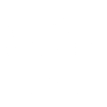 Advanced Trauma Care at We Care Superspeciality Hospital, Raipur